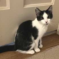 Thumbnail photo of Alia #1