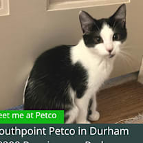 Thumbnail photo of Alia #3