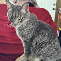 Thumbnail photo of Beastie Boy #3