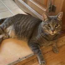 Thumbnail photo of Beastie Boy #4