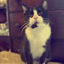 Thumbnail photo of Rascal #1