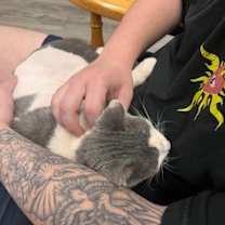 Thumbnail photo of Clove Mochi #3