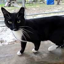 Thumbnail photo of Rider #3