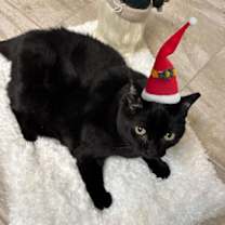 Thumbnail photo of Mama #1