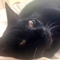 Thumbnail photo of Nebula #3