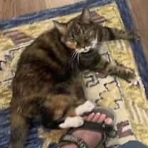 Thumbnail photo of Sissy #1