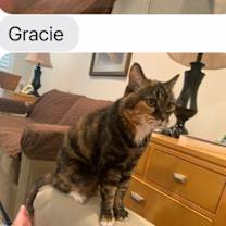 Thumbnail photo of Sissy #4