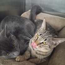 Thumbnail photo of Liv #4