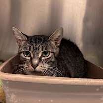 Thumbnail photo of Boo #4