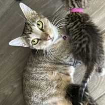 Thumbnail photo of Carol #1