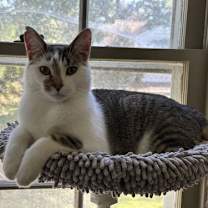 Thumbnail photo of Smudge #2