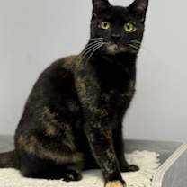 Thumbnail photo of Mila #3