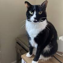 Thumbnail photo of Toph & Katara #1