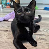 Thumbnail photo of Can of Tuna #3