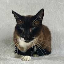 Thumbnail photo of Ryuk #3