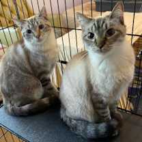 Thumbnail photo of Truffle #3