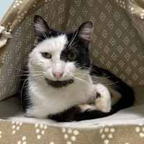 Thumbnail photo of Manny Norton #1