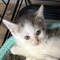 Thumbnail photo of Andrea #1