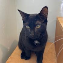 Thumbnail photo of Roary #3