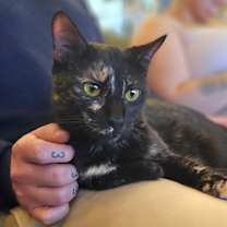 Thumbnail photo of Bug #3