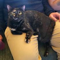 Thumbnail photo of Bug #4