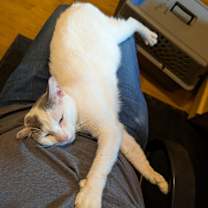 Thumbnail photo of Puff the Magic Dragon #1