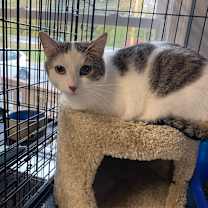 Thumbnail photo of Gia #1