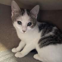 Thumbnail photo of Gia #2