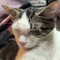 Thumbnail photo of Kenzi #2