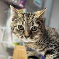 Thumbnail photo of Prince (and Precious) #3