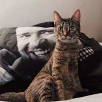 Thumbnail photo of Winter #2