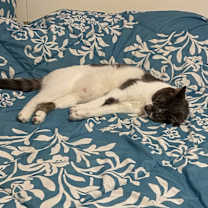 Thumbnail photo of Mili #2