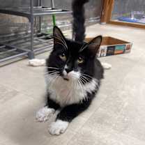 Thumbnail photo of Paul Mitchell #1