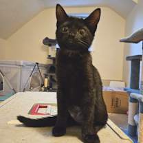 Thumbnail photo of Elle #1