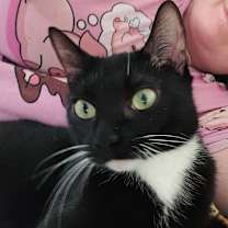 Thumbnail photo of Elanore #1