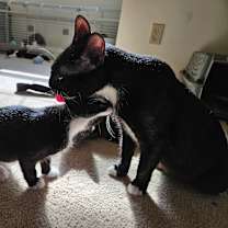 Thumbnail photo of Elanore #2