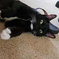 Thumbnail photo of Elanore #3