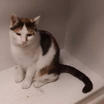 Thumbnail photo of Senseless #2