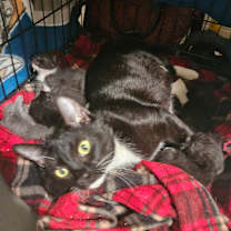 Thumbnail photo of Elanore #4