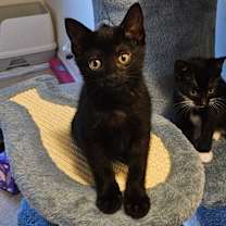 Thumbnail photo of Ella #2