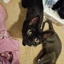 Thumbnail photo of Ella #4