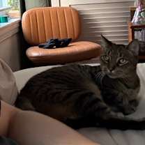 Thumbnail photo of Turf #3