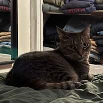 Thumbnail photo of Turf #4