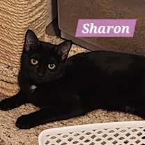 Thumbnail photo of Sharon #3