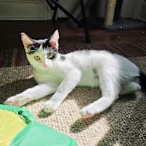 Thumbnail photo of Steffie #3