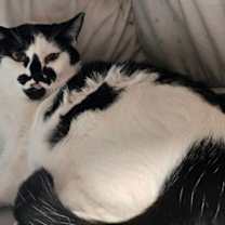 Thumbnail photo of S'mores #2