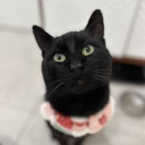 Thumbnail photo of Jasper #2