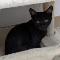 Thumbnail photo of Twix #3