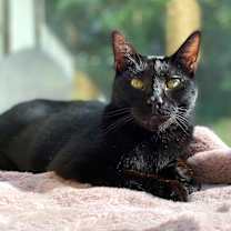 Thumbnail photo of Simon  #1