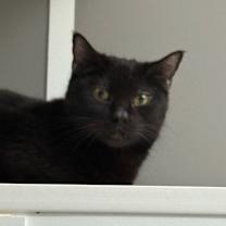 Thumbnail photo of Simon  #2